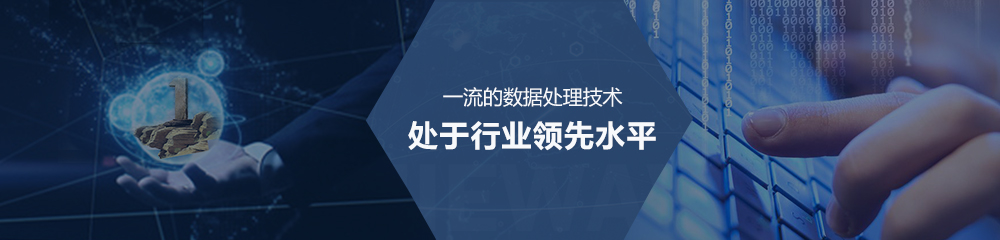 统计分析,市场调查与预测,数据统计,市场调查分析报告,电算报告